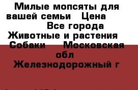 Милые мопсяты для вашей семьи › Цена ­ 20 000 - Все города Животные и растения » Собаки   . Московская обл.,Железнодорожный г.